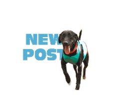 Terrain D.O.G. Sticker