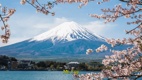 Fuji meme gif