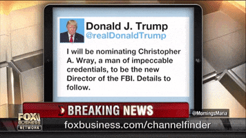 Donald Trump Fbi GIF by GIPHY News