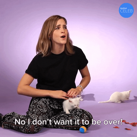 Oh No Cats GIF by BuzzFeed