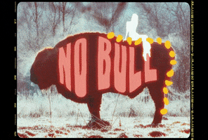 No Bull Art GIF by Jay Sprogell