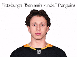 Pittsburgh Penguins GIF