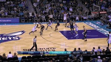 fazzettino  GIF
