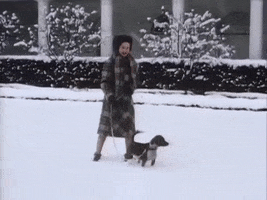 White House Snow GIF by US National Archives