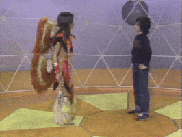 You Cant Do That On Television GIF