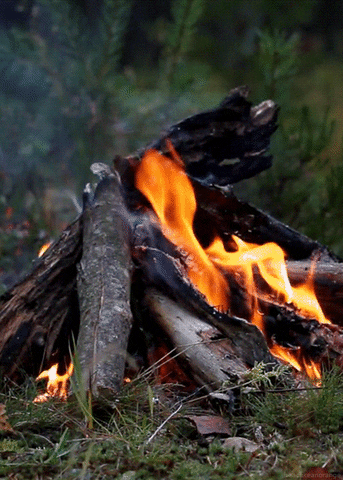 campfire fire gif GIF