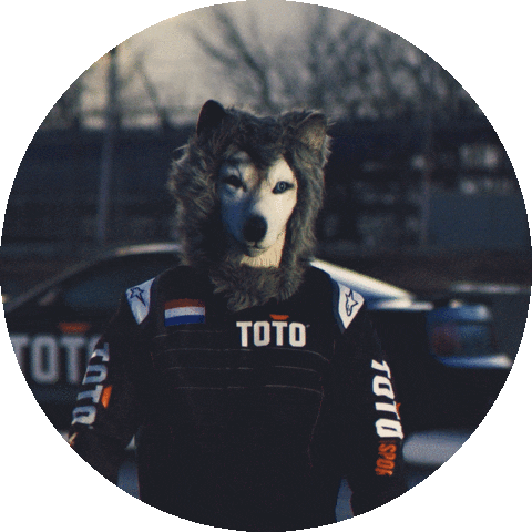 Formula 1 Sport Sticker by Toto