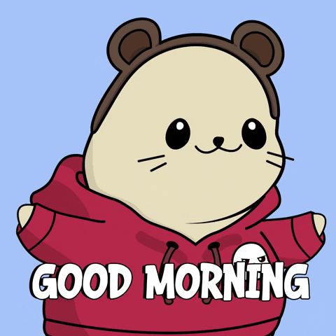 Good Morning GIF by LilSappys