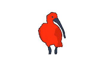 Bird Guaratuba Sticker by Guará Mapping Festival