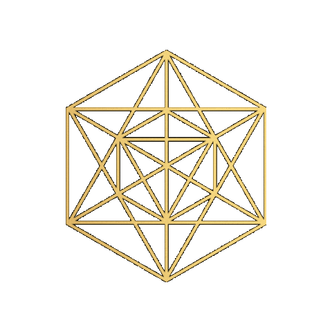 Icon Aesthetics & Wellness Sticker