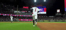 Braves GIF