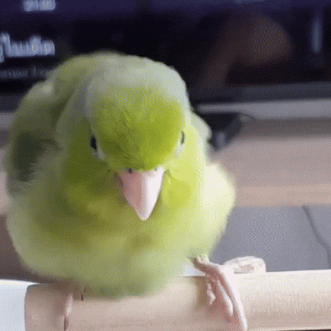 Hyunnie GIF