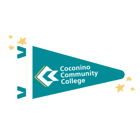 CCC Sticker