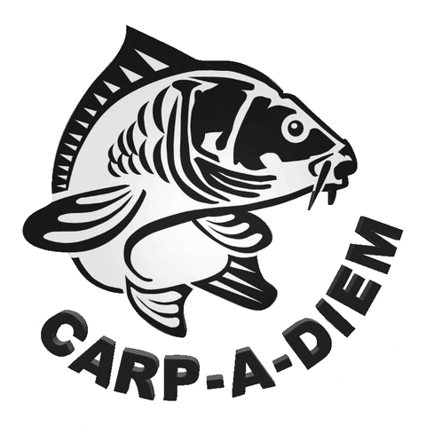 GIF by BigFishOn