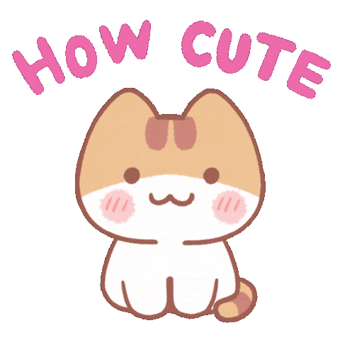 Cat Sticker
