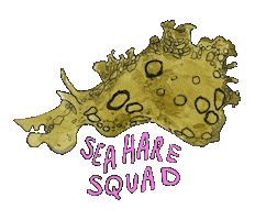 Animated Sticker