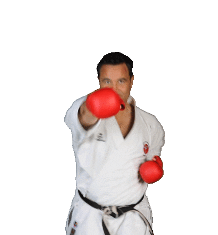 Isshoni Karate Sticker