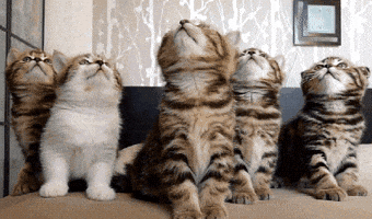 staring up and down GIF