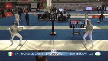 GIF by Fencing Database