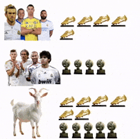 La Pulga Pessi GIF