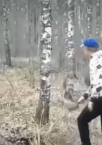 Crazy GIF