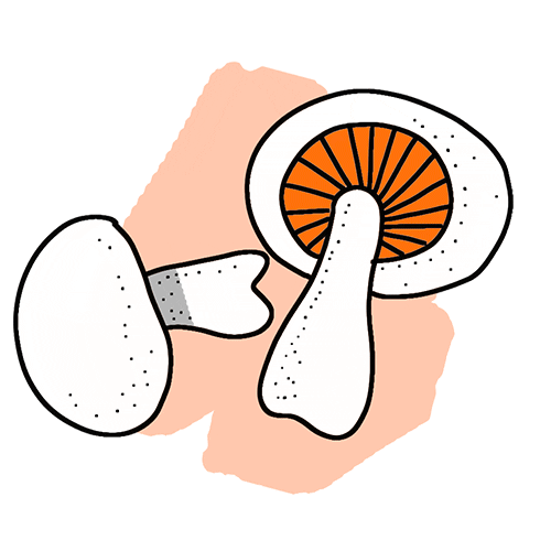 Mushroom Sticker