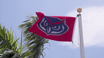 Florida Atlantic Flag GIF by FAU Athletics