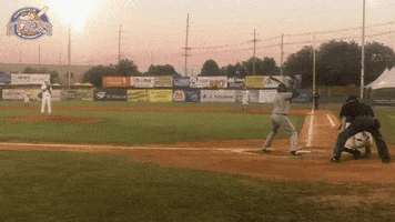 EvansvilleOtters baseball looking gameday pitcher GIF