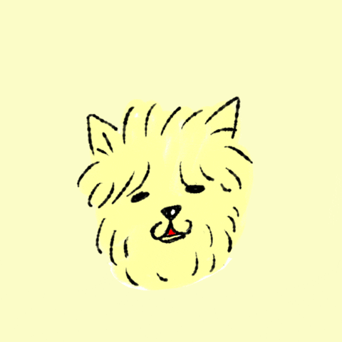 Dog GIF