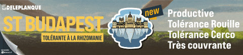 Budapest Betterave GIF by RAGT Semences FRANCE