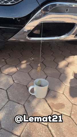 Bounce GIF