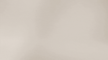 Stopmotionorganizen GIF by organizengr