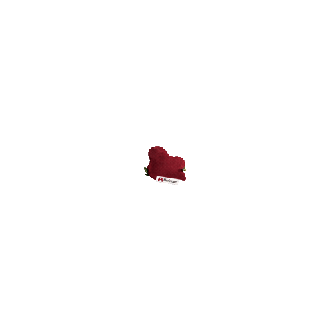 Heringer Sticker