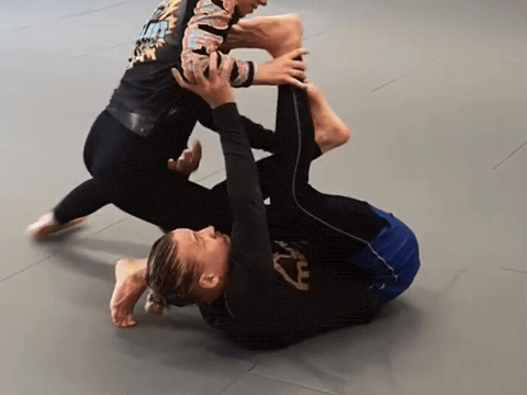 Bjj Grappling GIF - Find & Share on GIPHY