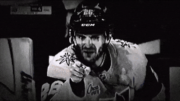 Vegas Golden Knights Vgk GIF