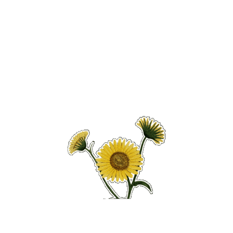 Mother Nature Summer Sticker by The Wild Curiosity