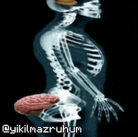 Brain GIF