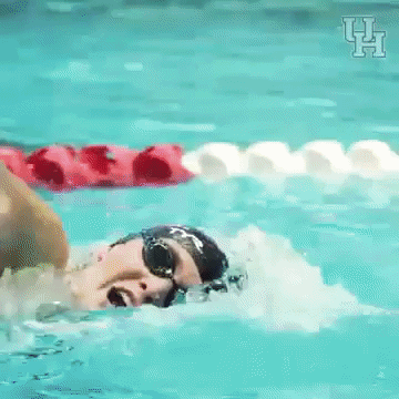 elevate university of houston GIF by Coogfans