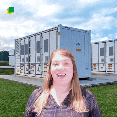 Success GIF by BayWa r.e. Americas