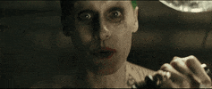 studying suicide squad GIF