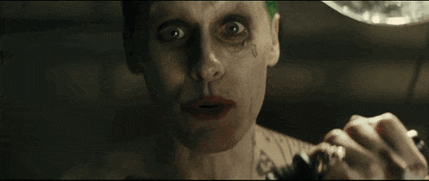 studying suicide squad GIF