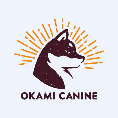 Okami GIF by Gonz