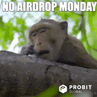 200.gif?cid=fc005b08bb41ec110a41ec801ac1ef731d59603671f79367&rid=200.gif&ct=g