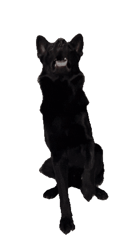 Michael Edermayer Sticker