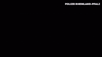 I See You Reaction GIF by Polizei Rheinland-Pfalz