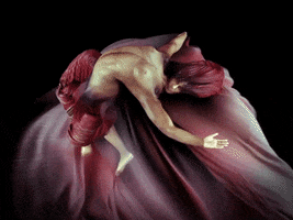 GIF by Juxtapoz Magazine