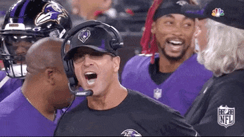 Excited Baltimore Ravens GIF by NFL