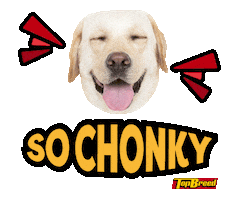 Universal Robina Sticker