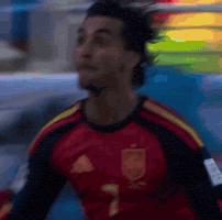 Argentina Spain GIF