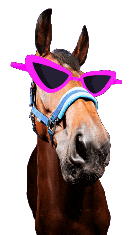 Sassy Sunglasses Sticker by hooved